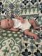17 Inches Full body Platinum Silicone Baby Girl