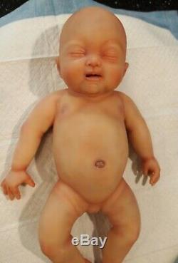 17 Painted Newborn Full Body Silicone Baby Girl Doll Brianna