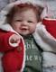 18 Soft Body Vivienne Reborn Baby Doll Lifelike Newborn Realistic Xmas Gift