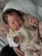 19 Finished Asleep Newborn Baby Reborn Doll Rooted Soft Mohair Painted Toy Gift