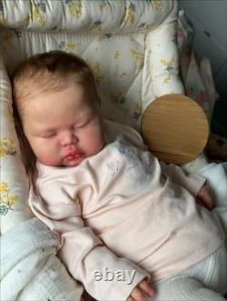 24in Assembled Asleep Reborn Baby Doll Rooted Hair Lifelike Painted Toddler Gift