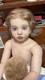40 Lifelike Reborn Dolls Toddler Boy Aloenka Painted Kit Rooted Short Hair Gift