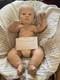 A Gorgeous Three Month Joseph Awake Reborn Baby Doll With Box Opening