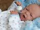 AWW! BABY BOY DOGGIES! Preemie Life Like Reborn Pacifier Doll + Extras