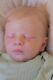 Authentic Reborn Baby Doll Alexa with COA