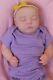 Authentic Reborn Baby Doll Realborn Zuri with COA