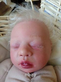 Authentic Reborn Cuddle Baby Doll Sassy By Secrist