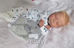 BEAUTIFUL Reborn baby Doll LUCIANO By CASSIE BRACE- SOLE