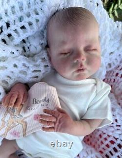 Beautiful Reborn baby doll