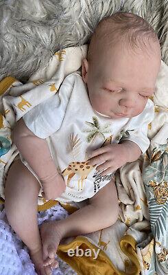 Beautiful Reborn baby doll. Newborn Daisy. Bountiful Babies. Now Rory