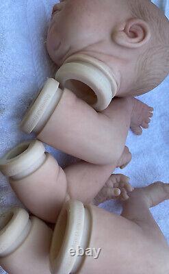 Beautiful Reborn baby doll. Newborn Daisy. Bountiful Babies. Now Rory