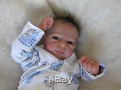 Beautiful reborn Baby Boy Aspen awake