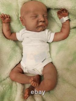 Beautifully Handcrafted 17 Reborn Doll Levi Asleep. Great For All Enthusiasts