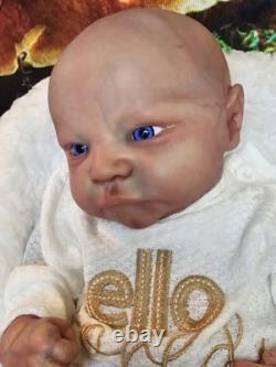 Beautifully Handcrafted Reborn Doll 17 Levi Awake. Great For All Collectors