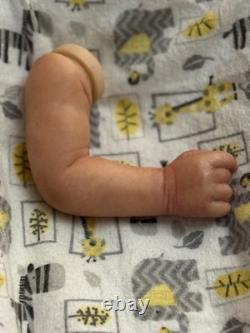 Boo Boo Realborn Christopher With COA