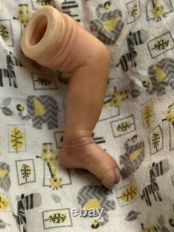 Boo Boo Realborn Christopher With COA