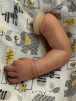 Boo Boo Realborn Christopher With COA