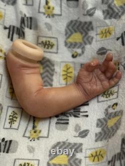 Boo Boo Realborn Christopher With COA