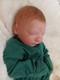 Bountiful Baby Realborn Joseph Reborn Lifelike CUDDLE Baby Doll 18 Magnetic Pa