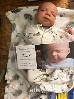 Collectible Reborn Dolls Pascale and Elijah See pictures