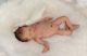 EARLY BIRD full bodied prem baby silicone not reborn doll