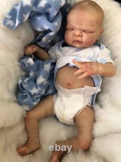 Full Vinyl Childrens Reborn Doll Baby Boy Maddox Realistic 20 Painted Hair