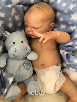 Full Vinyl Childrens Reborn Doll Baby Boy Maddox Realistic 20 Painted Hair