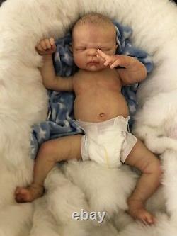 Full Vinyl Childrens Reborn Doll Baby Boy Maddox Realistic 20 Painted Hair