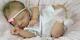 Gorgeous Newborn Reborn Baby Girl Luciano By Cassie Brace Limited Edition