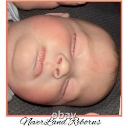 High End 4 Month Old Detailed Sleepy Sage by Bountiful Baby Discontinued G2U