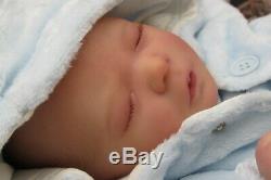 Honeybabies Realborn Reborn Baby Boy Preemie Darren
