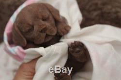 It's a LAB Puppy Girl! FULL SILICONE Bathable Life Like Reborn Newborn Baby Doll