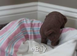 It's a LAB Puppy Girl! FULL SILICONE Bathable Life Like Reborn Newborn Baby Doll