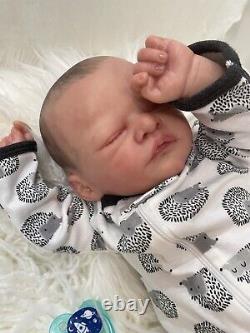 Lady Bugs Nursery Realistic Reborn lifelike Baby Jonah Heike Kolpin