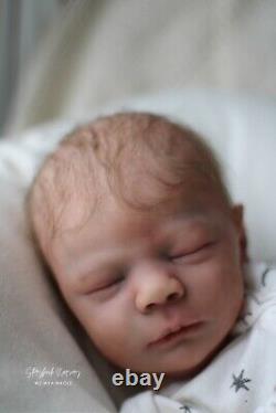 Lifelike Reborn Baby Dominic By Mya Nikole! Bountiful Baby Realborn