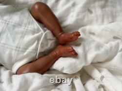 Lil Prem By Laura Lee Eagles Reborn Baby Doll New! Ready To Ship COA
