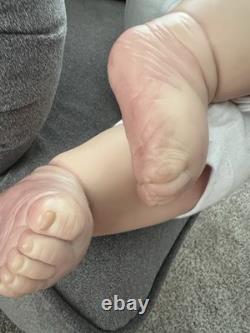 Lot Of Dolls 3 Total 2 Reborn And One Lee Middleton