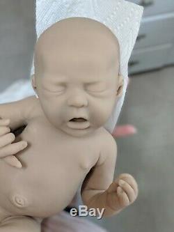 Lovebug Blank Eco 20 Soft Full Body Silicone Baby Girl By Sylvia Manning fbs