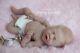 Lovebug Full Body Silicone Baby Girl By Sylvia Manning