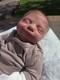 Maeve Reborn Cuddle Baby With COA By Carlie Kearns Art Dolls
