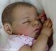 Martina's Babies reborn ethnic Noah by Reva Schick, real newborn baby girl doll