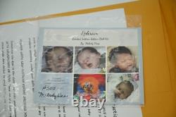 Melody Hess EPHRAM Limited Edition Reborn Doll #505/600 with Documentation