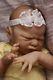 Miracle Reborn newborn baby girl by Laura Lee Eagles