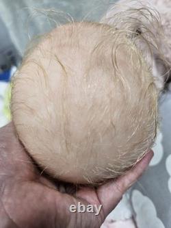 NEW 19 Realborn Reborn Girl With COA Artist Doll Collectible