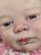 NEW Realborn Reborn JADE BABYDOLL GIRL ARTIST DOLL COLLECTORS COA