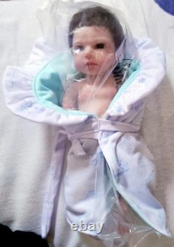 NIB Reborn FULLSilicone BabyBoyDoll Ludon Rooted Hair+Extras not pictured x10