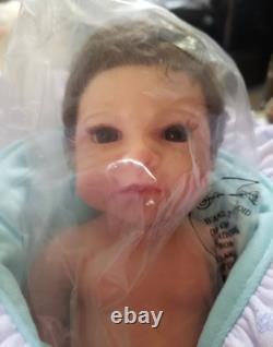 NIB Reborn FULLSilicone BabyBoyDoll Ludon Rooted Hair+Extras not pictured x10