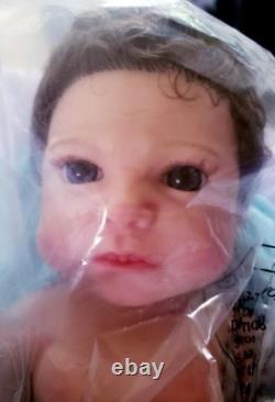 NIB Reborn FULLSilicone BabyBoyDoll Ludon Rooted Hair+Extras not pictured x10