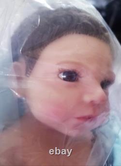 NIB Reborn FULLSilicone BabyBoyDoll Ludon Rooted Hair+Extras not pictured x10