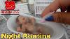 Night Routine Of Mini Silicone Baby Feeding Changing And Bath Reborn Love